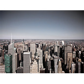 老书虫推荐新上热文疯狂情丝-小说主角秦翊宁繁繁完整版在线阅读