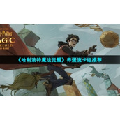 《哈利波特魔法觉醒》养蛋流卡组推荐