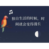 孤独的鸟儿怎么到第二天