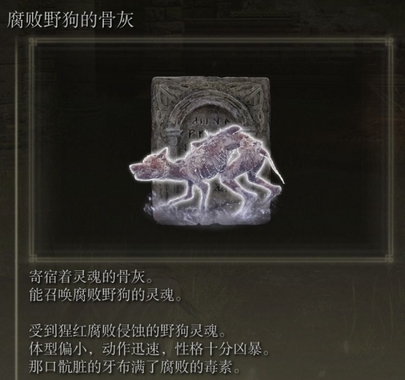 阿里西西10