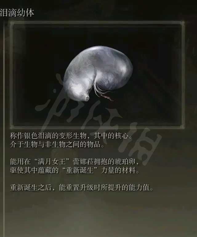 阿里西西2