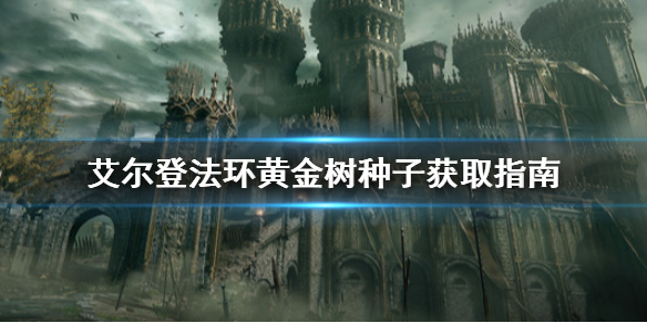 阿里西西1