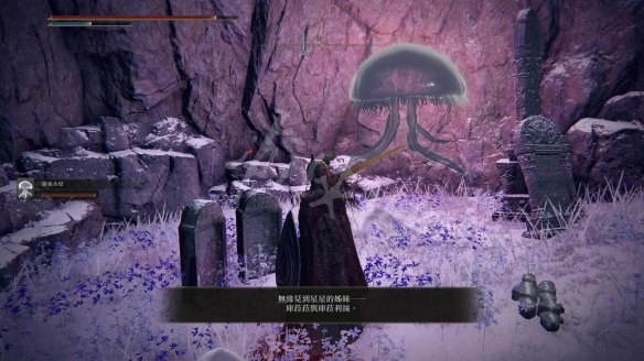 阿里西西2