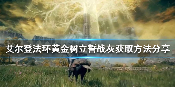阿里西西1