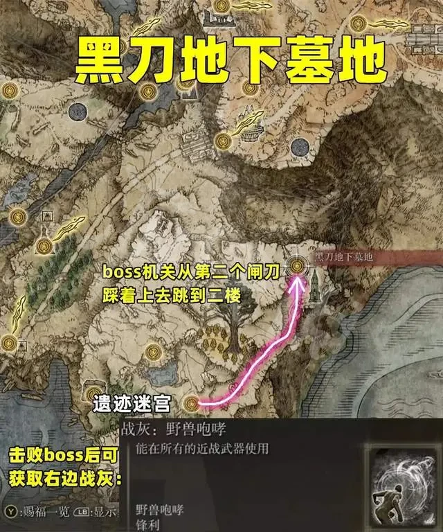 阿里西西5