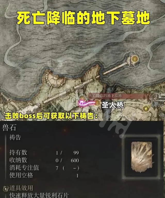 阿里西西6