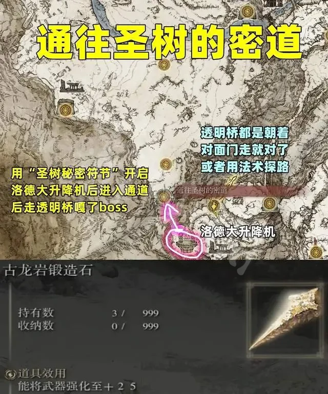阿里西西8