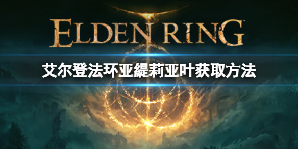阿里西西1