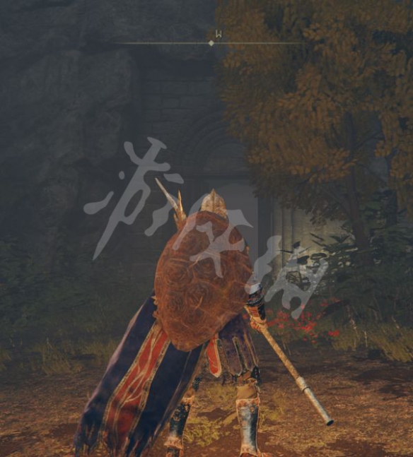 阿里西西5