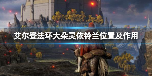 阿里西西1