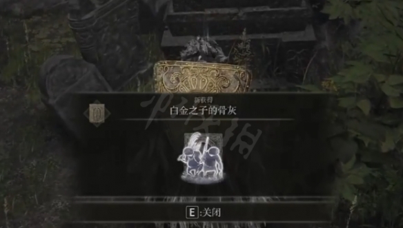 阿里西西5