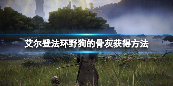 阿里西西1
