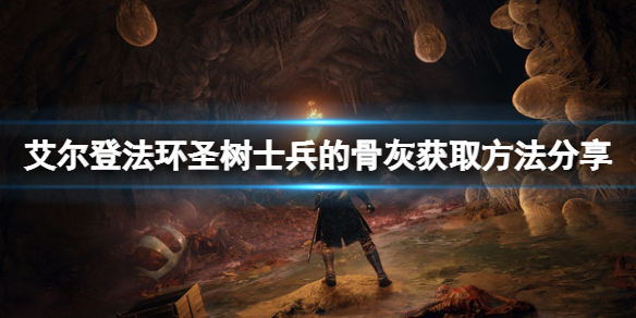 阿里西西1