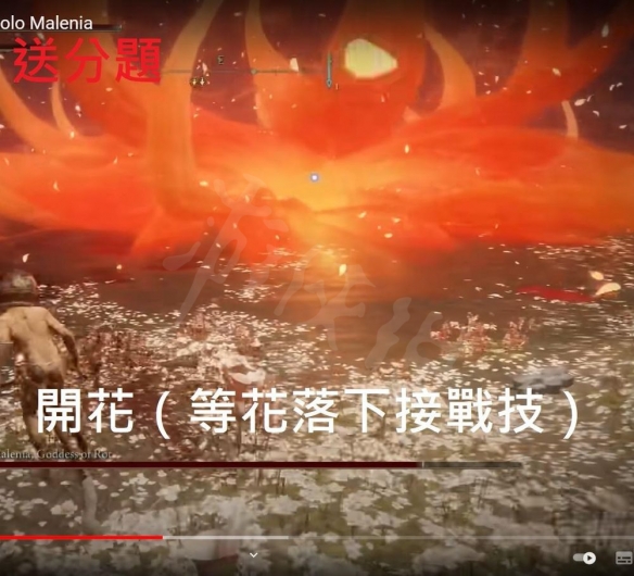 阿里西西14