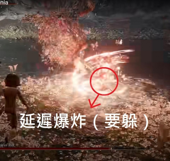阿里西西15