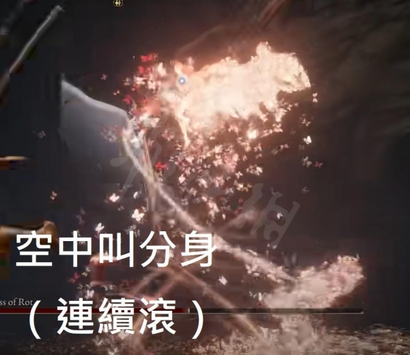 阿里西西16