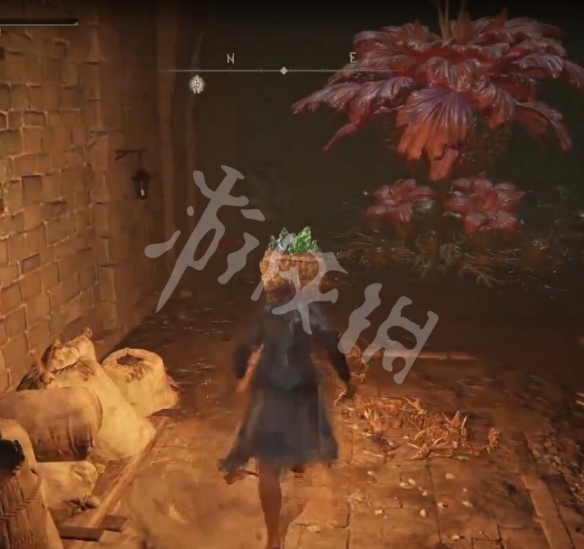 阿里西西3