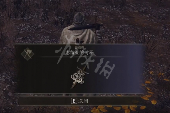 阿里西西6