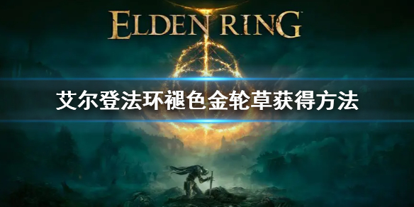 阿里西西1
