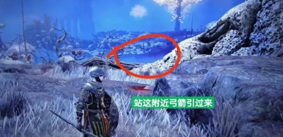阿里西西2