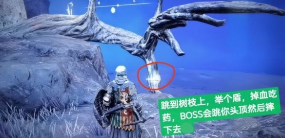 阿里西西3