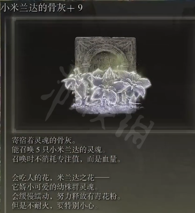 阿里西西2