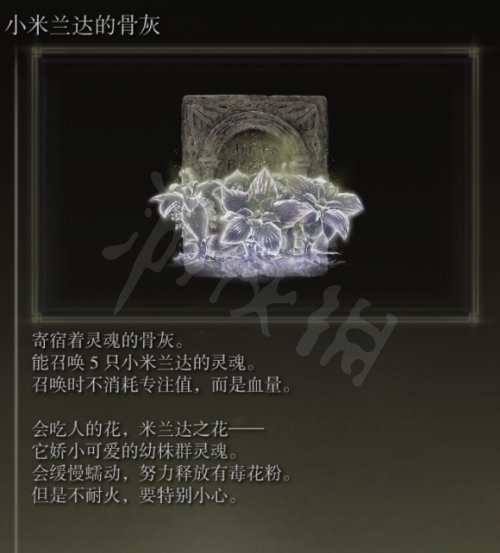 阿里西西2