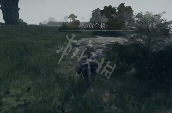 阿里西西4