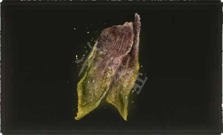 阿里西西2