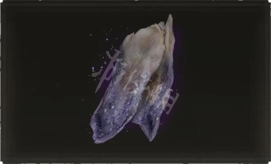 阿里西西8