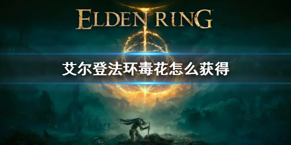 阿里西西1