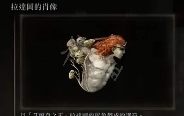 阿里西西10