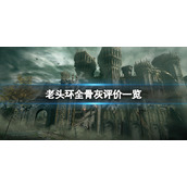 《艾尔登法环》什么骨灰好用？全骨灰评价一览