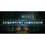 《艾尔登法环》PC手柄不支持怎么办？PC手柄不支持解决方法介绍
