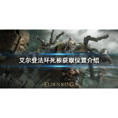 《艾尔登法环》死根如何获得？死根获取位置介绍