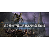 《艾尔登法环》铃兰采摘工玲珠在哪？铃兰采摘工玲珠位置介绍