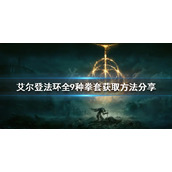 《艾尔登法环》拳套有哪些?全9种拳套获取方法分享