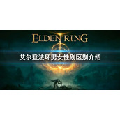 《艾尔登法环》性别影响剧情吗 男女性别区别介绍