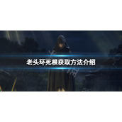 《艾尔登法环》死根在哪？死根获取方法介绍