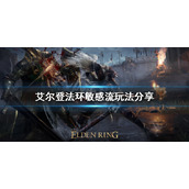 《艾尔登法环》敏感流怎么玩？敏感流玩法分享