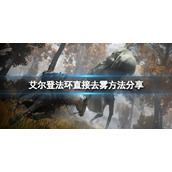 《艾尔登法环》怎么去除化圣雪原的雾？直接去雾方法分享