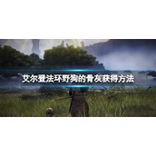 《艾尔登法环》野狗的骨灰好用吗？野狗的骨灰获得方法