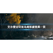 《艾尔登法环》双鸟鸢形盾效果一览 双鸟鸢形盾在哪刷？