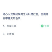 红心火龙果的果肉之所以是红色，主要源自哪种天然色素？9月13日答案分享