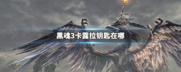 阿里西西