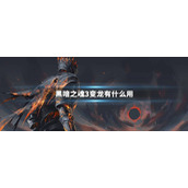 黑暗之魂3变龙有什么用