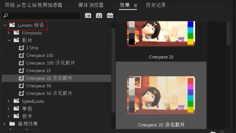 pr怎么给视频加滤镜2.jpg