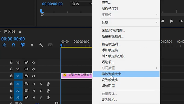 pr图片怎么调整大小