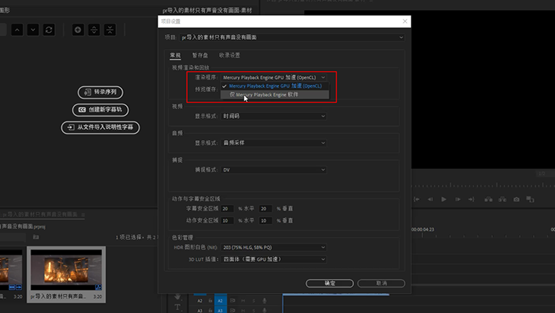 pr导入的素材只有声音没有画面