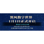 巽风数字世界玩法攻略